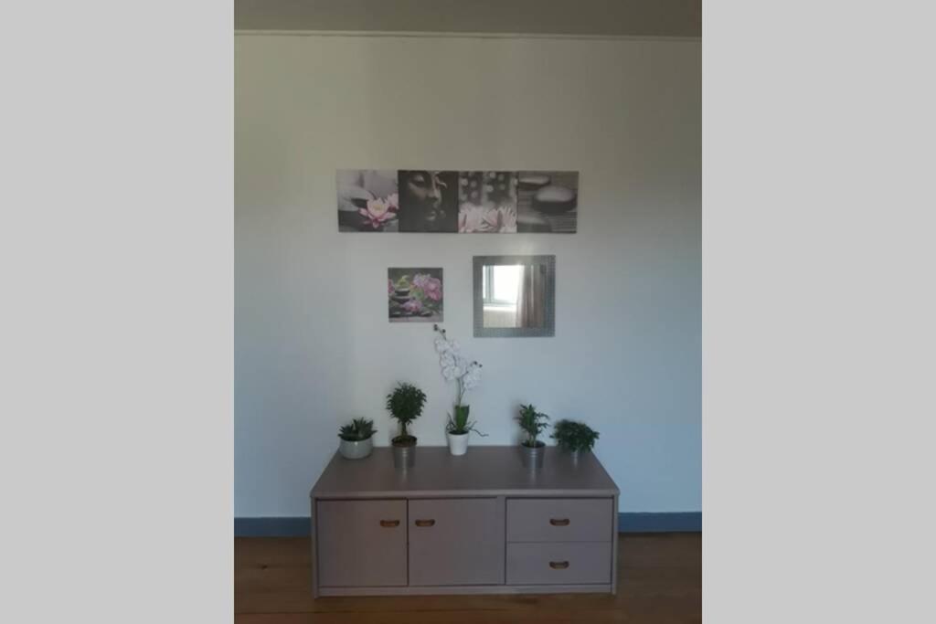 Appartement Chaleureux De 82M2 Proche De Vulcania Pontaumur Екстериор снимка