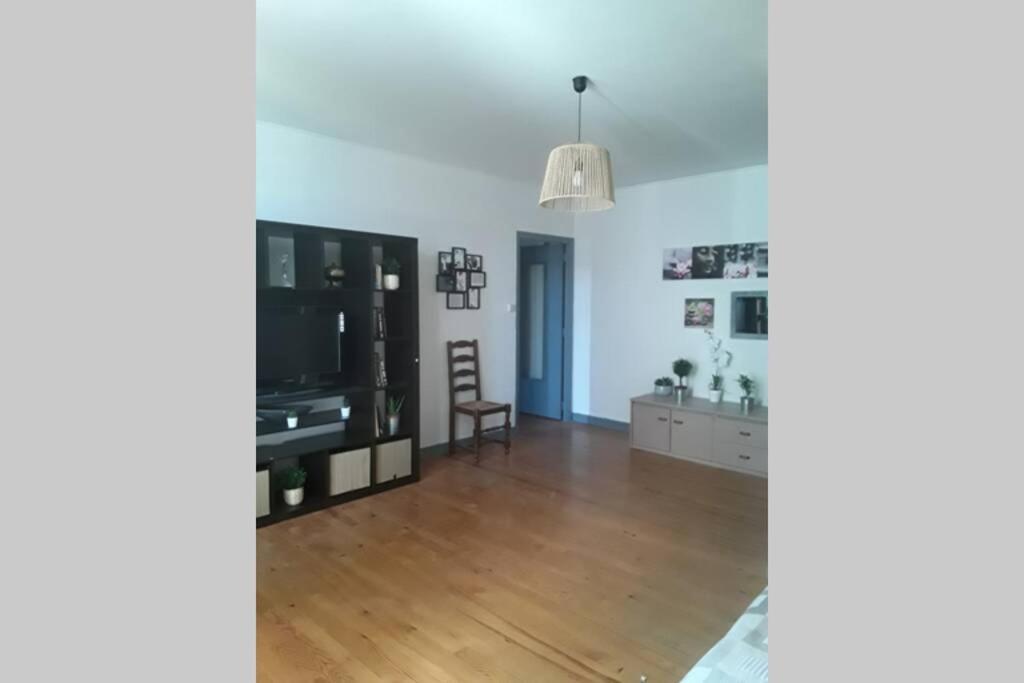 Appartement Chaleureux De 82M2 Proche De Vulcania Pontaumur Екстериор снимка